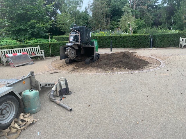 Tree Cutting