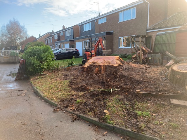 Stump Grinding