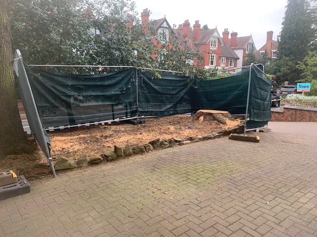 Stump Grinding