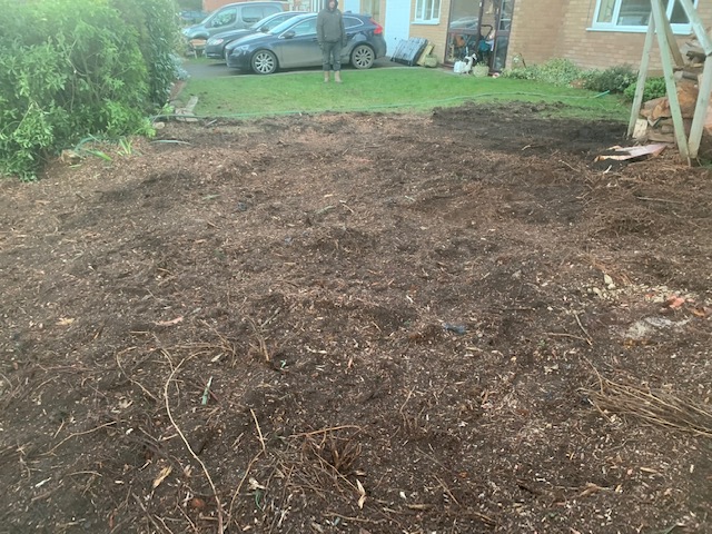 Stump Grinding