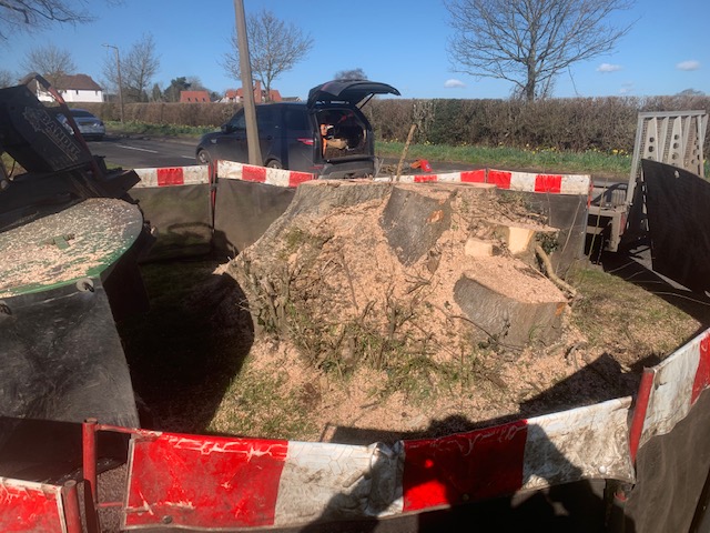 Stump Grinding