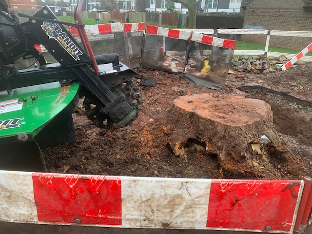 Stump Grinding