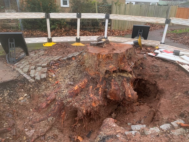 Stump Grinding