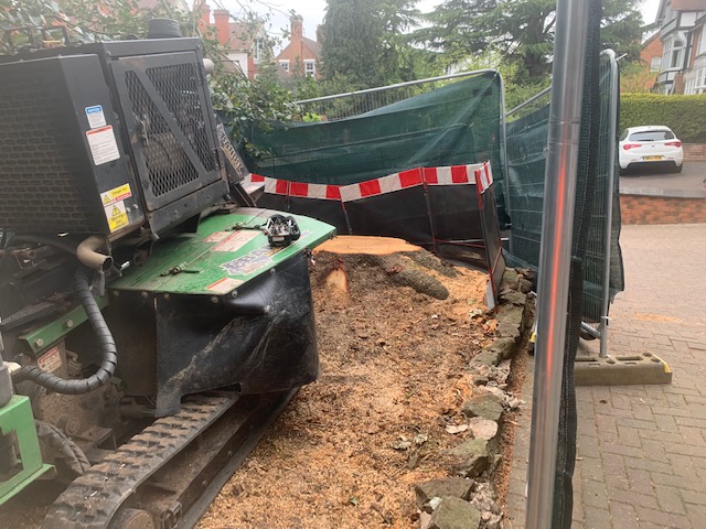 Stump Grinding