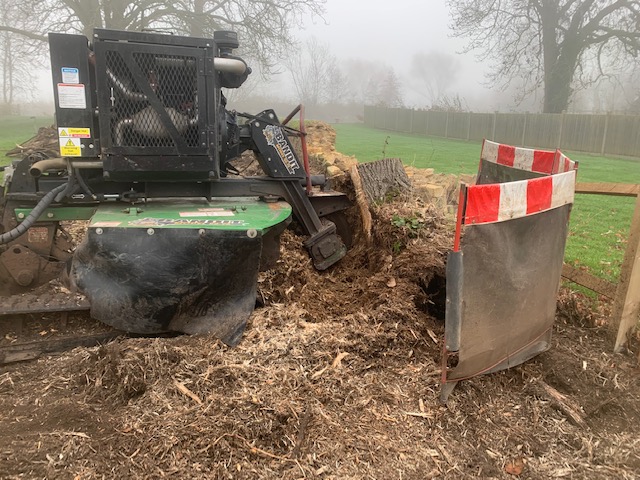 Stump Grinding