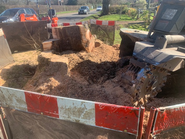 Stump Grinding