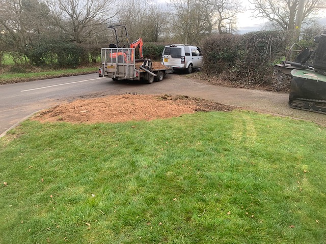 Stump Grinding