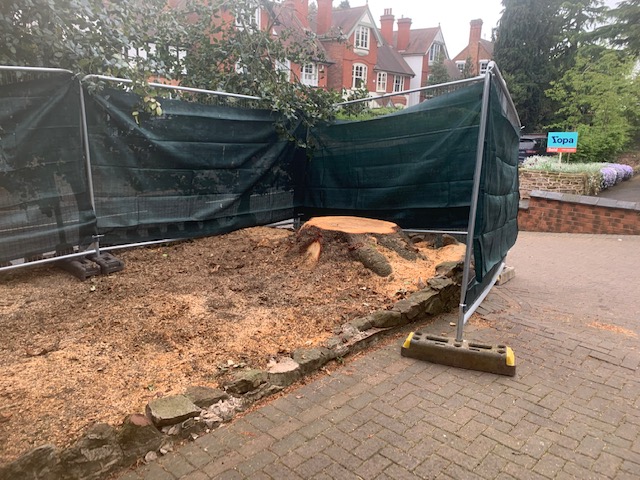 Stump Grinding