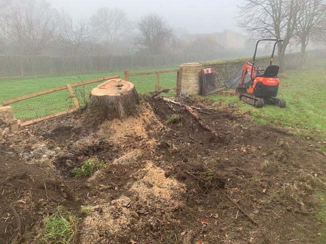Stump Grinding